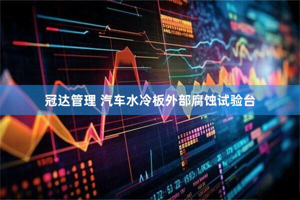 冠达管理 汽车水冷板外部腐蚀试验台