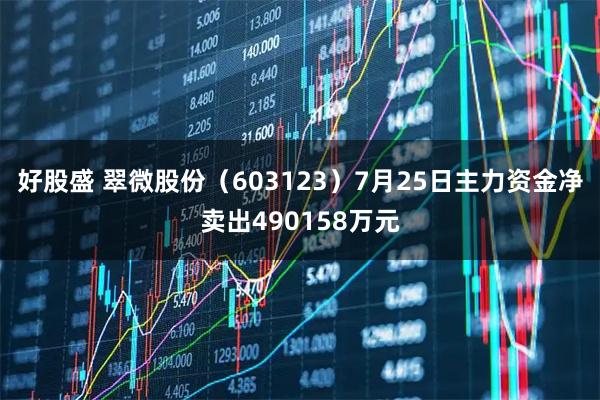 好股盛 翠微股份（603123）7月25日主力资金净卖出490158万元