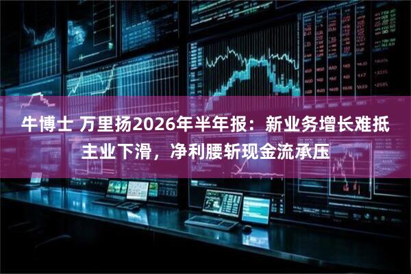 牛博士 万里扬2026年半年报：新业务增长难抵主业下滑，净利腰斩现金流承压